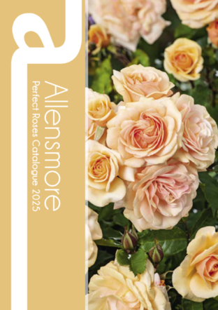 Perfect Rose Catalogue 2025